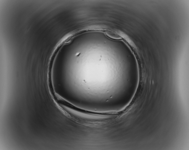 X0000085001237200703121453