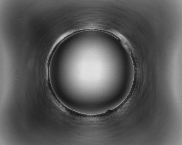 X0000085001238200703121453