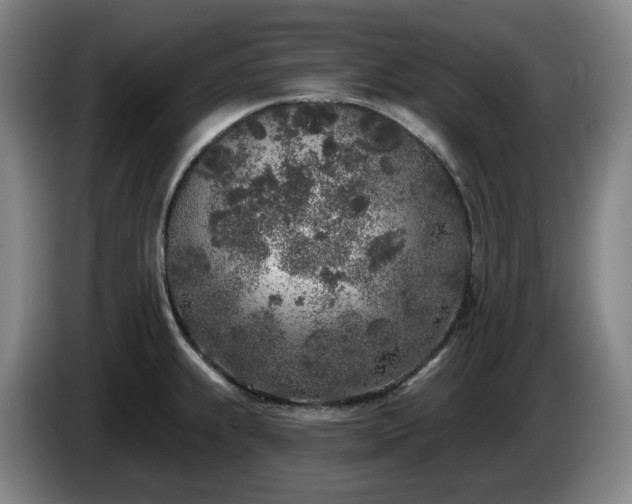 X0000085001239200703121453