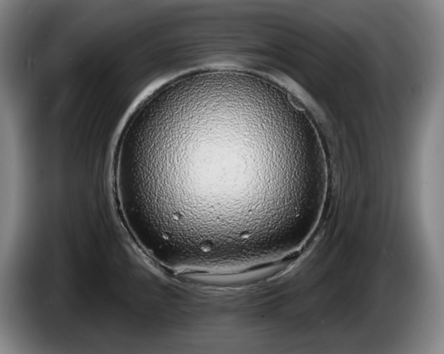 X0000085001240200703121453