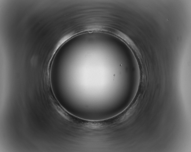 X0000085001242200703121453