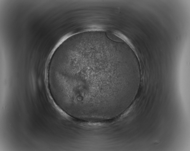 X0000085001243200703121453