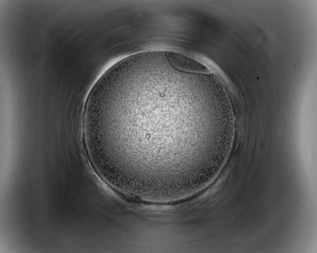 X0000085001244200703121453