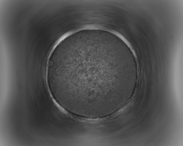 X0000085001245200703121453