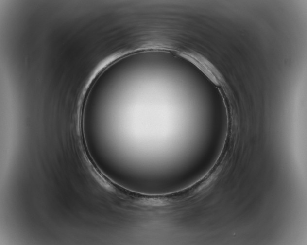 X0000085001246200703121453