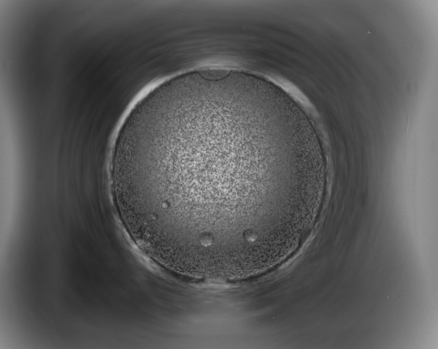 X0000085001248200703121454