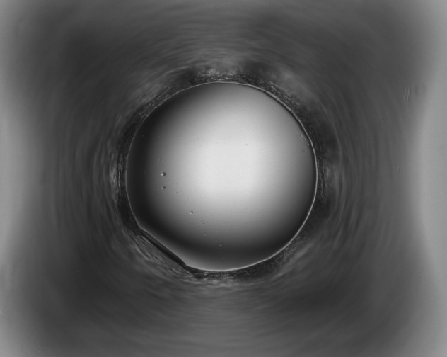 X0000085001250200703121453