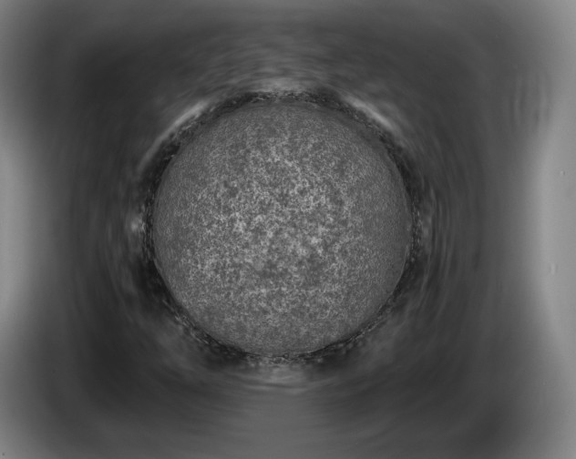 X0000085001254200703121453