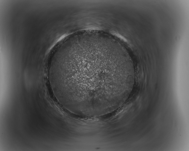 X0000085001255200703121453