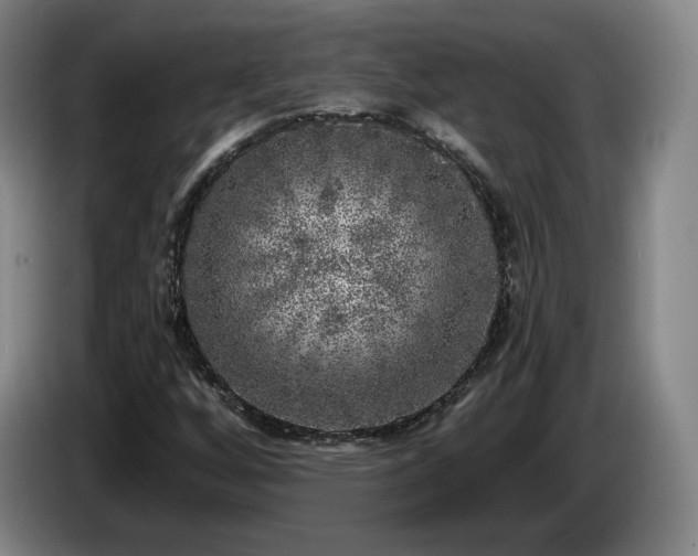 X0000085001256200703121453