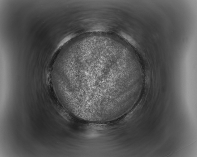 X0000085001258200703121453