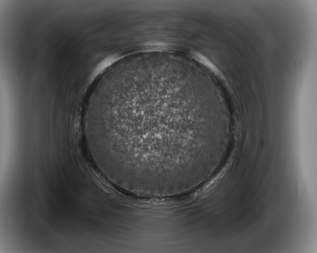 X0000085001259200703121453