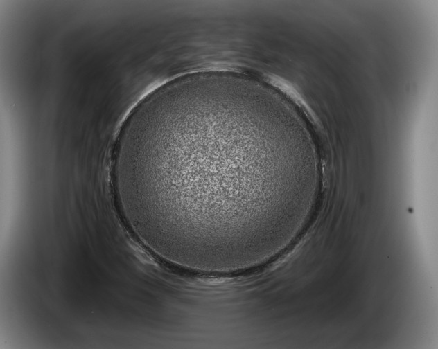 X0000085001260200703121453