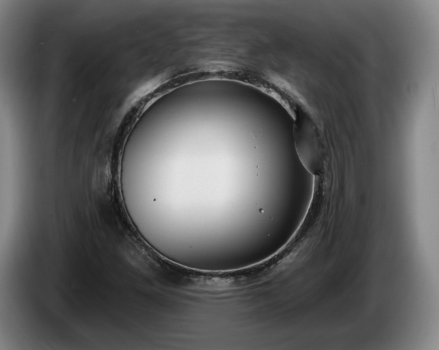 X0000085001261200703121453