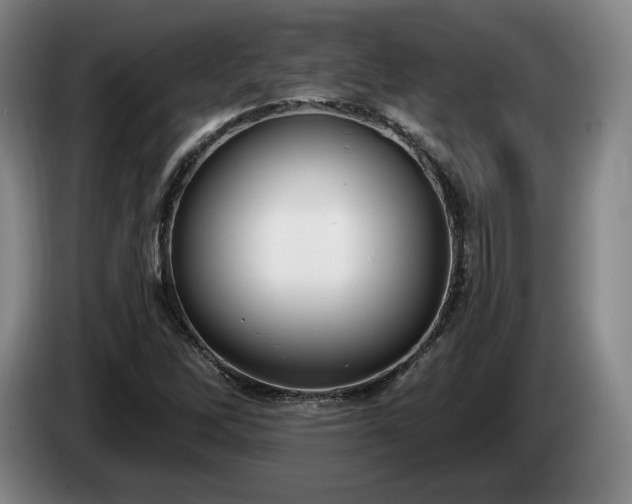 X0000085001262200703121453