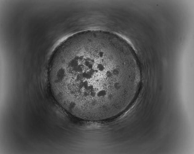 X0000085001263200703121453