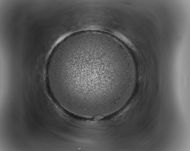 X0000085001264200703121453