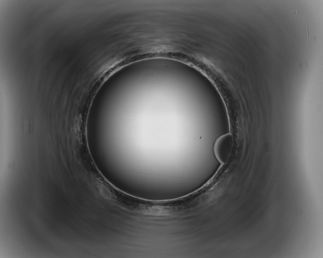 X0000085001265200703121453