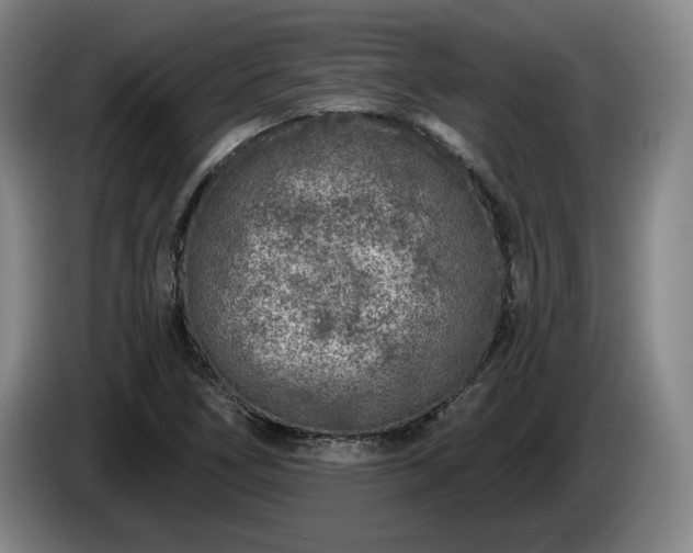 X0000085001266200703121453