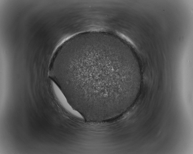 X0000085001267200703121453