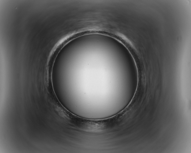 X0000085001270200703121453