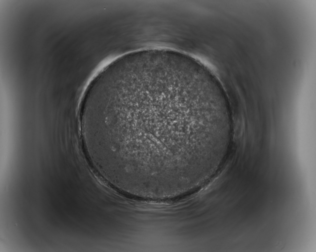 X0000085001271200703121453