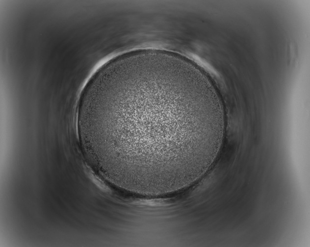 X0000085001272200703121453