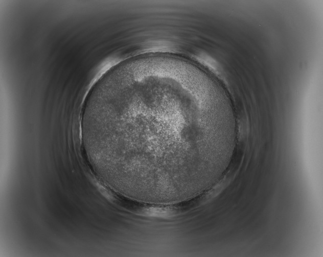 X0000085001274200703121452