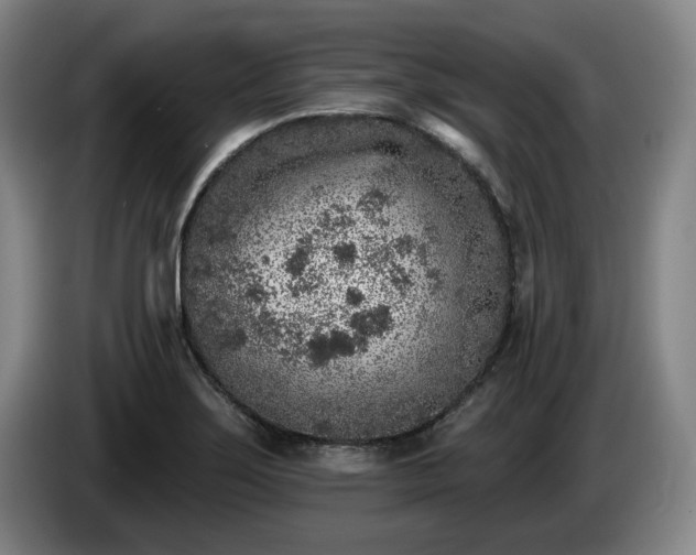 X0000085001275200703121452