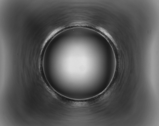 X0000085001277200703121452