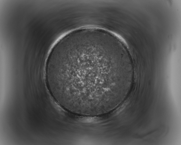 X0000085001279200703121452