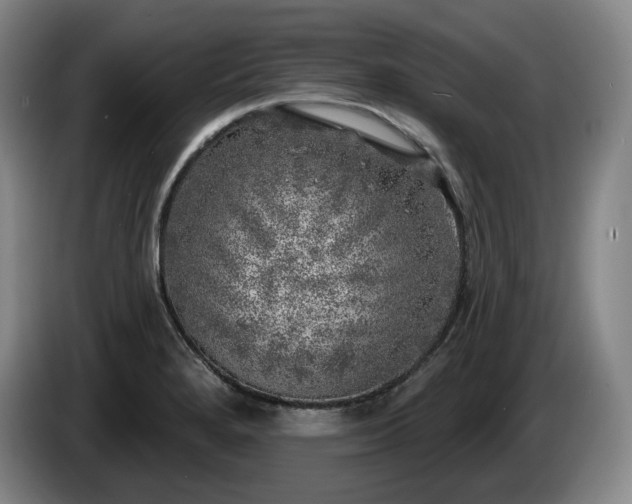 X0000085001280200703121452