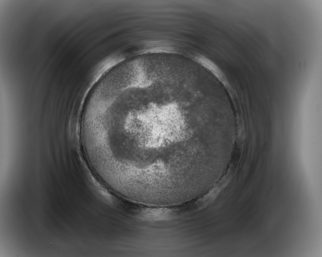 X0000085001282200703121452