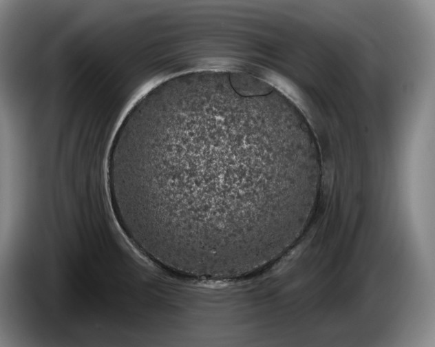 X0000085001283200703121452