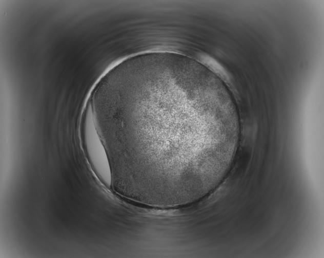 X0000085001284200703121452