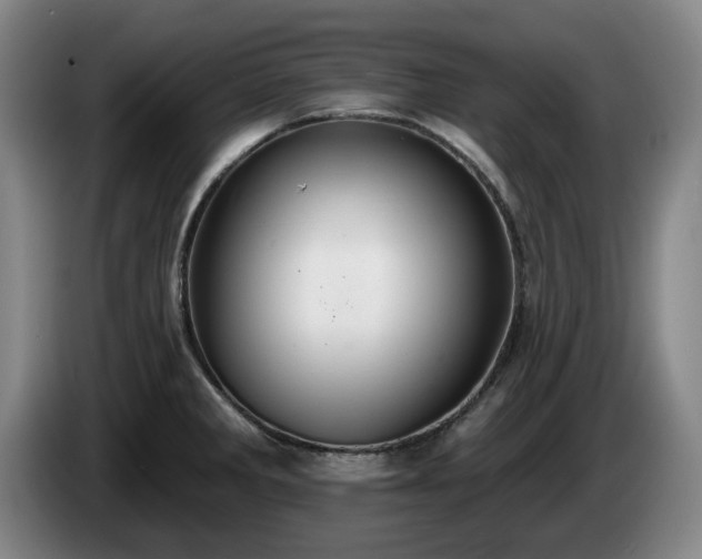 X0000085001285200703121452