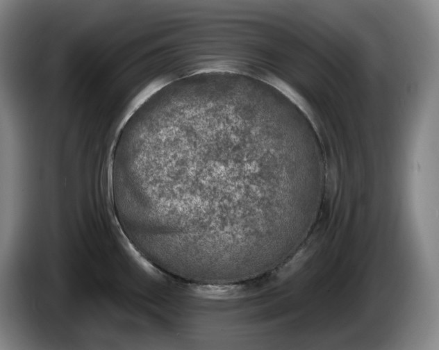 X0000085001290200703121452