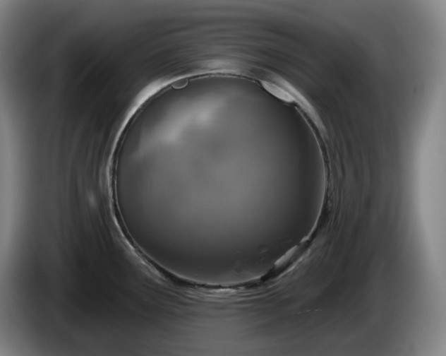 X0000085001291200703121452