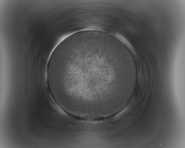 X0000085001292200703121452