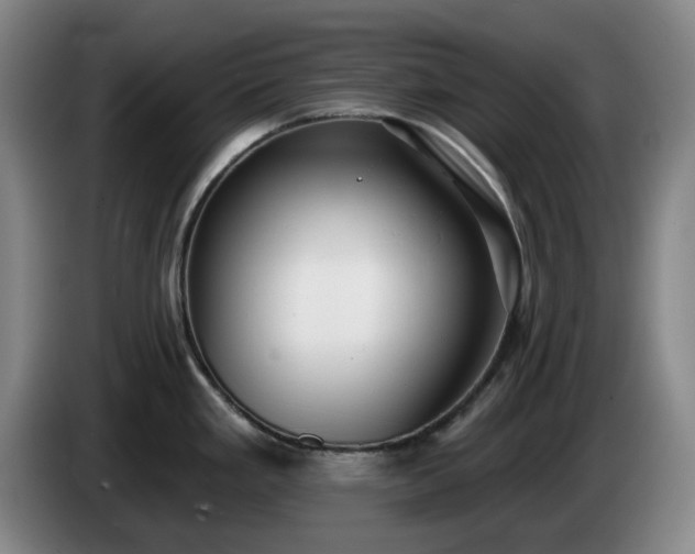 X0000085001293200703121452