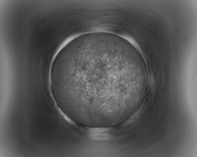 X0000085001294200703121452