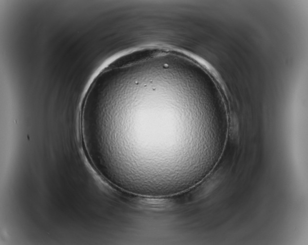 X0000085001295200703121452