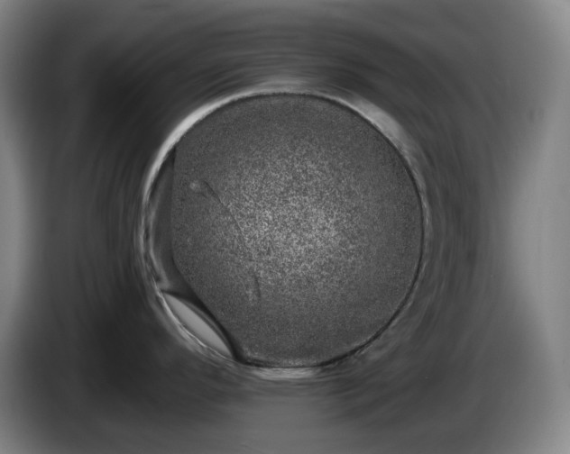 X0000085001296200703121452