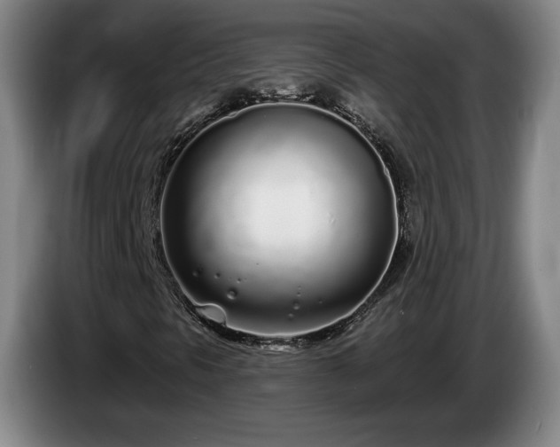 X0000085001297200703121452