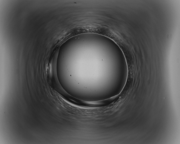 X0000085001298200703121452