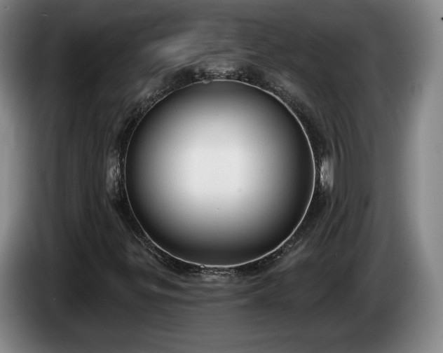 X0000085001299200703121452