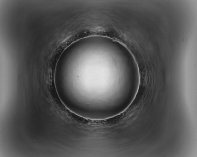 X0000085001301200703121452