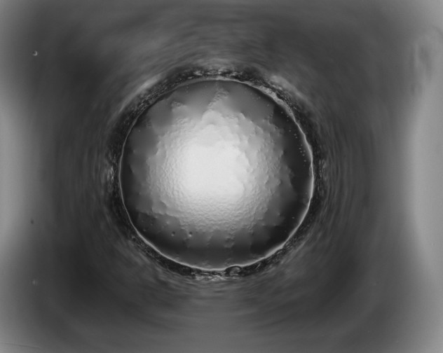 X0000085001302200703121452