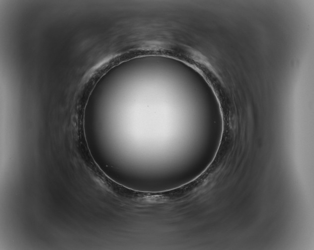 X0000085001304200703121452