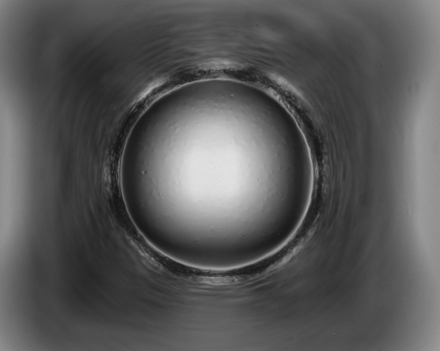 X0000085001305200703121452